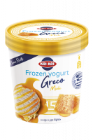 Frozen Yogurt Greco Honey 500ml